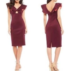 Gianni Bini Miranda Dress NWT Raisinrust Size 2